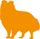 Orange dog silhouette
