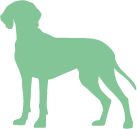 Orange dog silhouette