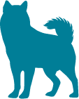 Orange dog silhouette
