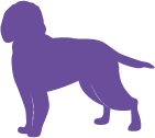 Orange dog silhouette