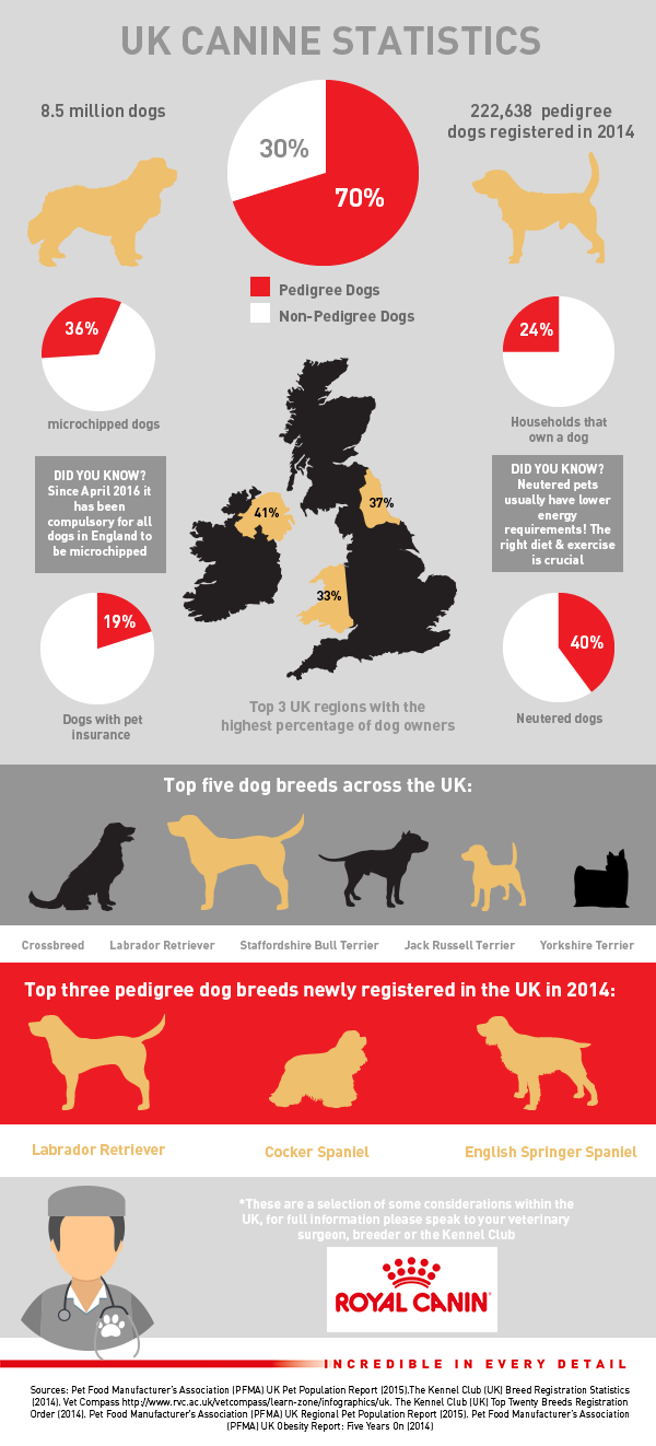 Mixed Breed Infographic - ROYAL CANIN®